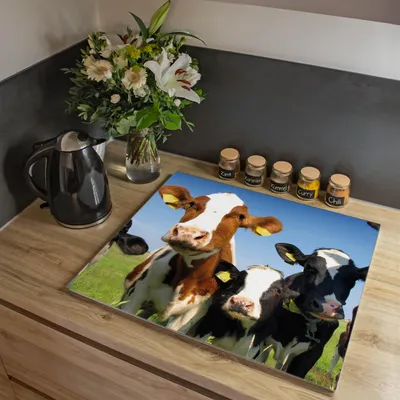 Produktbild von banjado Herdabdeckplatte einteilig 60x52cm groß mit Gummi Abstandshalter, ESG Sicherheitsglas mit Motiv Kühe [HAP1 10225]
