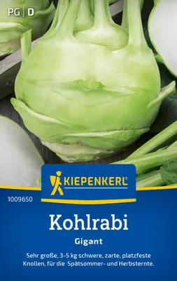 Produktbild von Kiepenkerl Kohlrabisamen Gigant Brassica oleracea gongylodes 150 Pflanzen