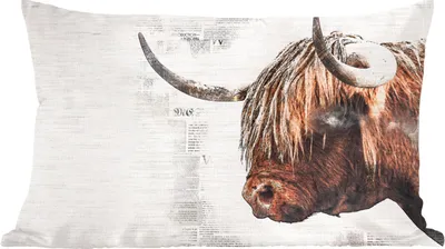 Produktbild von MuchoWow® Zierkissen Sofakissen Wohnzimmer Dekokissen 60x40 cm Scottish Hochlandrind - Tiere - Zeitungsartikel - Kopfkissen - Polster mit Foto