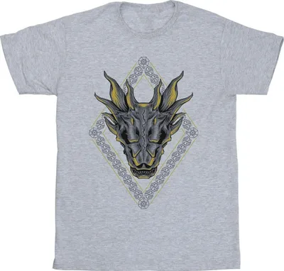 Produktbild von Game Of Thrones: House Of The Dragon - T-Shirt für Herren BI28876 (L) (Grau)