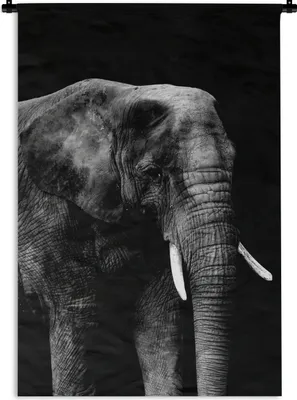 Produktbild von MuchoWow® Wandteppich Wandbehang Elefant auf schwarzem Hintergrund - schwarz und weiß 90x135 cm Tapisserie Dekoration Wandtuch - Baumwolle - Wandskulptur