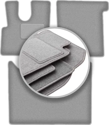 Image de Tapis de sol gris pour : Daf XF 106 Automatique (2017)