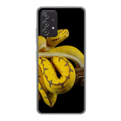 Produktbild von MuchoWow® Handyhülle Schutzhülle Hülle für Samsung galaxy a73 Schlange - Zweig - Gelb Silikon Softcase Handy Hülle - Handyhülle