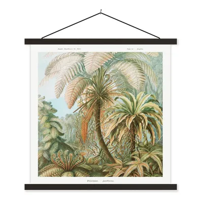 Produktbild von MuchoWow® Textilposter Vintage - Alte Meister - Farne - Pflanzen - Natur 120x120 cm mit schwarzem Rahmen - Aufhängungsset