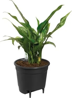 Produktbild von Elho Selbstbewässernder Einsatz Blumentopf 44 Schwarz Ø 43 x H 39 cm Innenzubehör 100 % recycelt