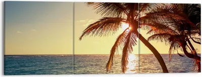 Produktbild von Bild auf Leinwand - Leinwandbild - Wolke exotischer Palm- Landschaft - 150x50cm - Wand Bild - Wanddeko - Leinwanddruck - Bilder - Kunstdruck - Leinwand bilder - Wandkunst - CA150x50-3180