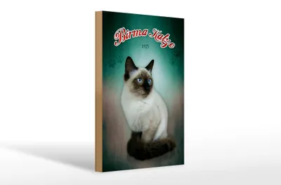 Produktbild von Holzschild Katze 20x30cm Birma Katze 1925 Wanddeko