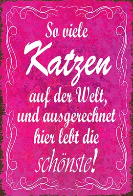 Produktbild von vianmo Holzschild 18x12 cm so vilele Katzen auf der Welt Tier Haustier