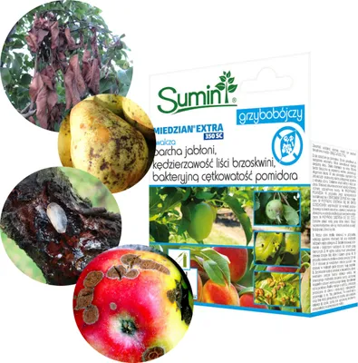 Produktbild von Miedzian Ekstra 350 Sc 10Ml, Krankheitsbehandlung Für Gemüse Und Obstbäume