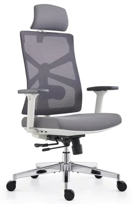 Immagine prodotto di Sedia da ufficio ergonomica con schienale e braccioli regolabili
