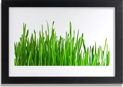 Produktbild von Bild 30x20 MDF-Rahmen Wandkunst Gras Natur Pflanze