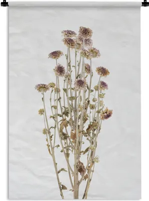 Produktbild von MuchoWow® Wandteppich Wandbehang Farben - Trockenblumen - Weiß 120x180 cm Tapisserie Dekoration Wandtuch - Schlafzimmer - Dekorationen für das Haus