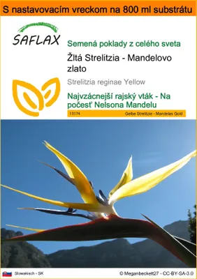 Obrázok produktu pre SAFLAX Garden in the bag - Žltá Strelitzia - Mandelovo zlato - Strelitzia reginae Yellow - 4 Semená - S pestovateľským substrátom v praktickom samostaviteľnom vrecku
