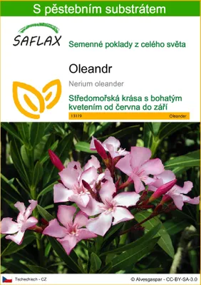 Obrázek produktu pro SAFLAX - oleandr - Nerium oleander - 50 Semena - S pěstebním substrátem bez klíčků