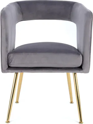 Produktbild von QIYANO Samtsessel Grau, Retro, Esszimmer, Wohnzimmer, Vintage, Vergoldet, Küche