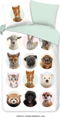 Produktbild von Good Morning Kinder-Bettwäsche-Set YOUNG A 140x200/220 cm Mehrfarbig