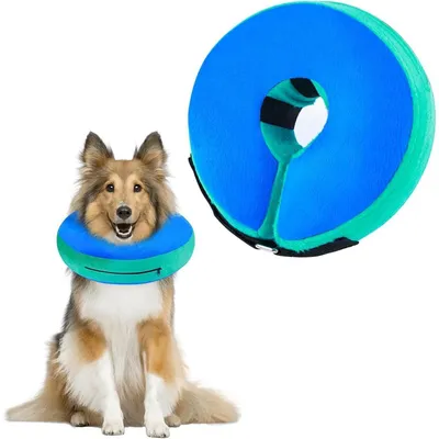 Zdjęcie produktu dla Inflowalny kołnierz ochronny dla psów i kotów, niebieski, rozmiar M+ (obwód szyi: 29-35,5 cm)