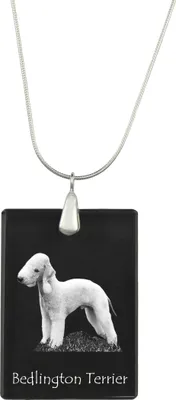 Immagine prodotto di Bedlington terrier - Ciondolo in cristallo con cane, collana in argento con foto, ciondolo personalizzato del marchio Art-Dog