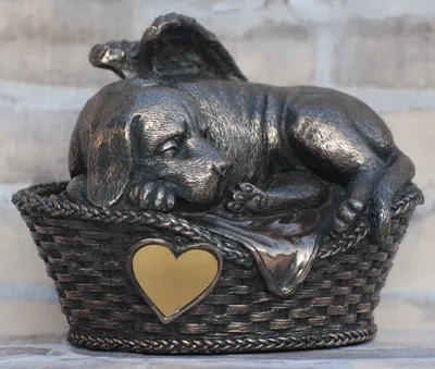 Produktbild von Hunde Urne bronziert als Hunde-Engelfigur und Gravurplatte, Tierurne
