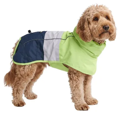 Hunde-Regenmantel, wasserdicht, reflektierend, atmungsaktiv, Größe M (5-7 kg)
