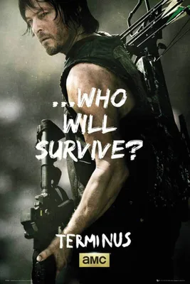 Obrázek produktu pro Walking Dead Plakát Daryl přežít