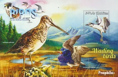 Produktbild von Briefmarken Malediven 2015 Mi Block 878 (kompl. Ausg.) postfrisch Watende Vögel