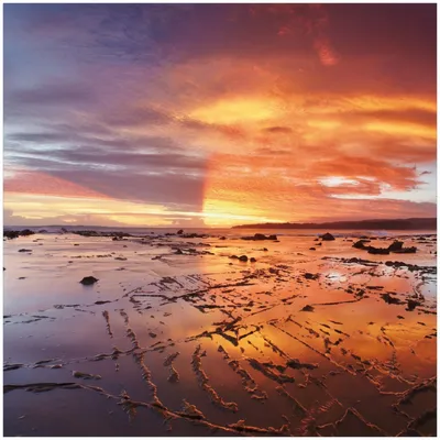 Produktbild von Wallario Premium Glasbild, freischwebende Optik, kräftige Farben, Größe 30 x 30 cm Motiv Wattwanderung am Meer bei Sonnenuntergang