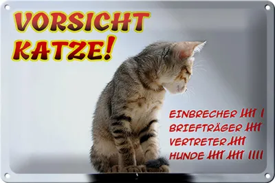 Produktbild von Blechschild Spruch 30x20cm Vorsicht Katze Strichliste