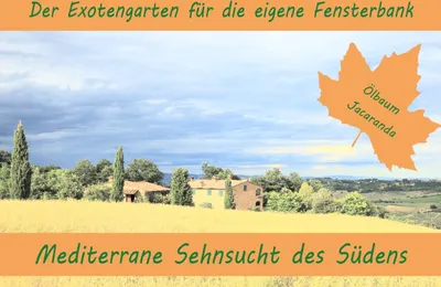 Produktbild von Anzuchtset Mediterrane Sehnsucht des Südens | Anzuchtsets von Saflax