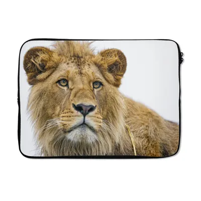 Produktbild von MuchoWow® Laptop Hülle 13 Zoll Löwe - Weiß - Porträt Laptoptasche - Laptophülle - Sleeve - Rundumschutz
