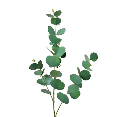 Immagine prodotto di Pianta artificiale Clayre & Eef 85 cm plastica verde