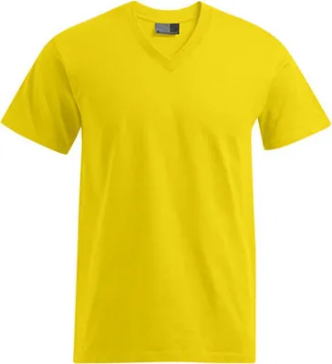 Image de Promodoro 3025 | T-shirt Premium col V pour homme - Couleur : Or - Taille : L