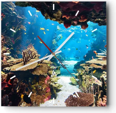 Produktbild von Wanduhr - Quadrat - Glasuhr - Ozean Riff Fische Koralle - 40x40cm - Schleichendes Uhrwerk - Lautlos - zum Aufhängen bereit - Dekoration Modern - Wanddekoration aus Glas - C3AC40x40-2872