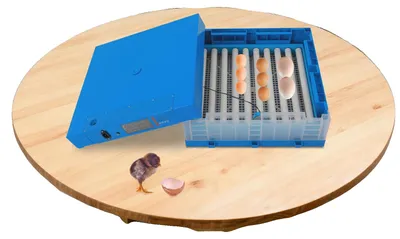 Obrázok produktu pre Inkubátor, kapacita 64 vajíčok, nastaviteľná teplota do 40 °C, nastaviteľné nastavenia vlhkosti, automatické otáčanie vajíčok, príkon 80 W
