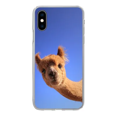Produktbild von MuchoWow® Handyhülle Schutzhülle Hülle für iPhone X Alpaka - Braun - Blau Silikon Softcase Handy Hülle - Handyhülle