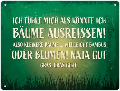 Produktbild von Metallschild XL mit Spruch: Ich fühle mich, als könnte ... Schild Blechschild