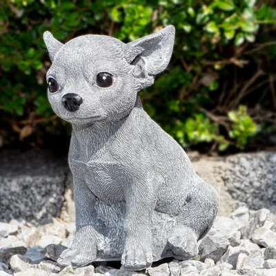 Produktbild von Hundewelpe, Skulptur, klein, Chihuahua | Stein, Grau | H 17,5 x B 11,0 cm