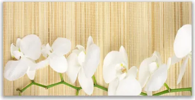 Produktbild von Tulup Leinwand-Bilder 140x70 Wandbild Canvas Kunstdruck Blumen Pflanzen