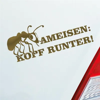 Produktbild von Auto Aufkleber Ameisen Kopf runter! Auto Tuning 15x6 cm Gold Sticker Heckscheibenaufkleber
