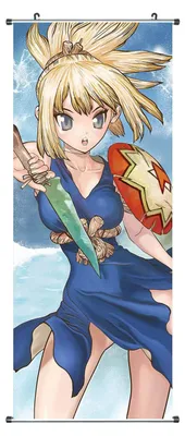 Obrázek produktu pro Velký svitkový obraz Dr. Stone | Kakemono z látky | Plakát 100x40cm | Motiv: Kohaku