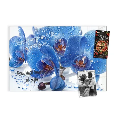 Produktbild von Magnettafel 90x60cm Pinnwand Whiteboard beschreibbar - Blaue Orchideen