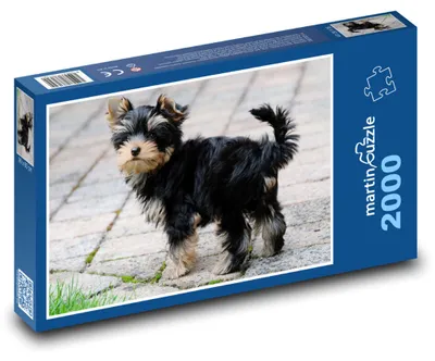 Obrázek produktu pro martinpuzzle - Puzzle 2000 - Yorkshire teriér - pes