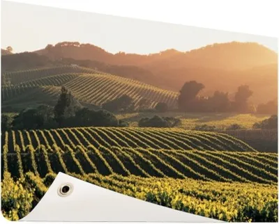 Produktbild von Gartenposter - 60x40 cm - Weinberge in den Vereinigten Staaten  - Modernes Wandbilder - Natur