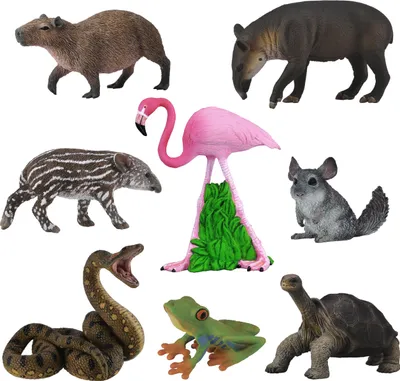 Produktbild von Collecta Kinder-Figurenset - Wildetiere 3+
