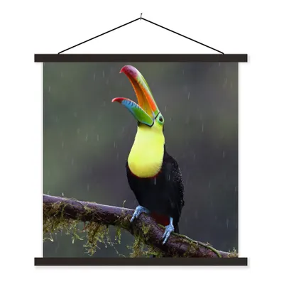 Produktbild von MuchoWow® Textilposter Tukan im Regen 120x120 cm mit schwarzem Rahmen - Aufhängungsset