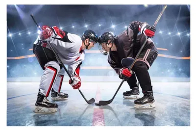 Produktbild von BrandMac BrandMac Kuscheldecke Eishockey Hockey Microfaser Flauschdecke 100 x 140 cm