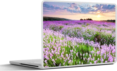 Produktbild von MuchoWow® Laptop Aufkleber Sticker Cover Lavendel - Blumen - Sonnenuntergang - Lila - Wiese 30x21 cm - Sticker für Laptop - Selbstklebend