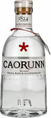 Produktbild von Caorunn Gin 41,80 % 0,70 Liter