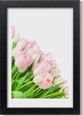 Produktbild von Bild 20x30 MDF-Rahmen, Wandkunst Rosa Tulpen