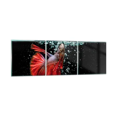 Produktbild von Bilder auf glas - Fisch Wasser Natur - 90x30cm - Glasbilder - Wandbilder - Kunstdruck - zum Aufhängen bereit - Wanddekoration aus Glas - Glas Bilder - Wandbild auf Glas - 3 Teile - GCA90x30-3492